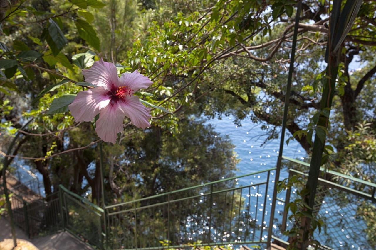 Amore Rentals - Villa Lo Scoglio Positano Exteriör bild