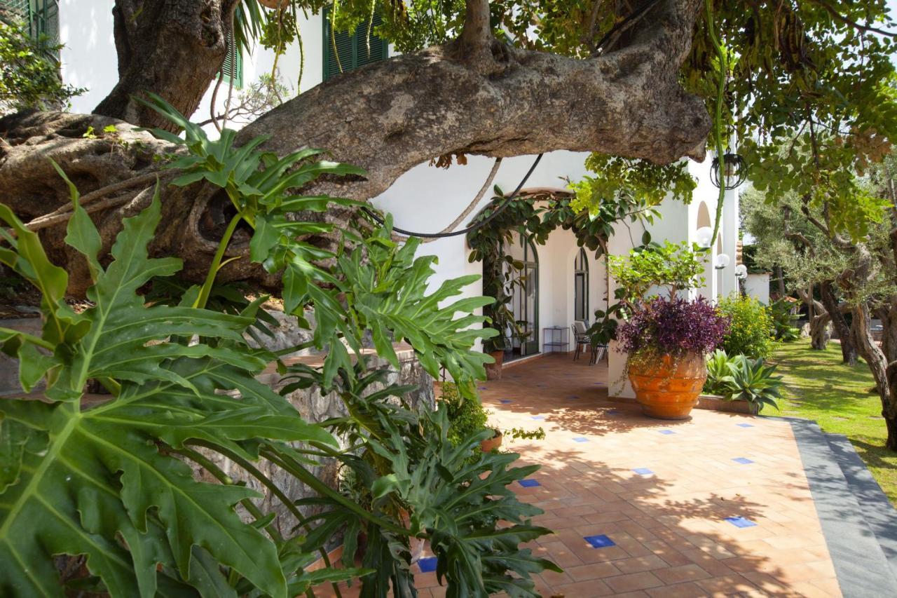Amore Rentals - Villa Lo Scoglio Positano Exteriör bild