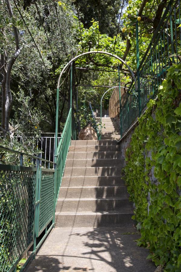 Amore Rentals - Villa Lo Scoglio Positano Exteriör bild